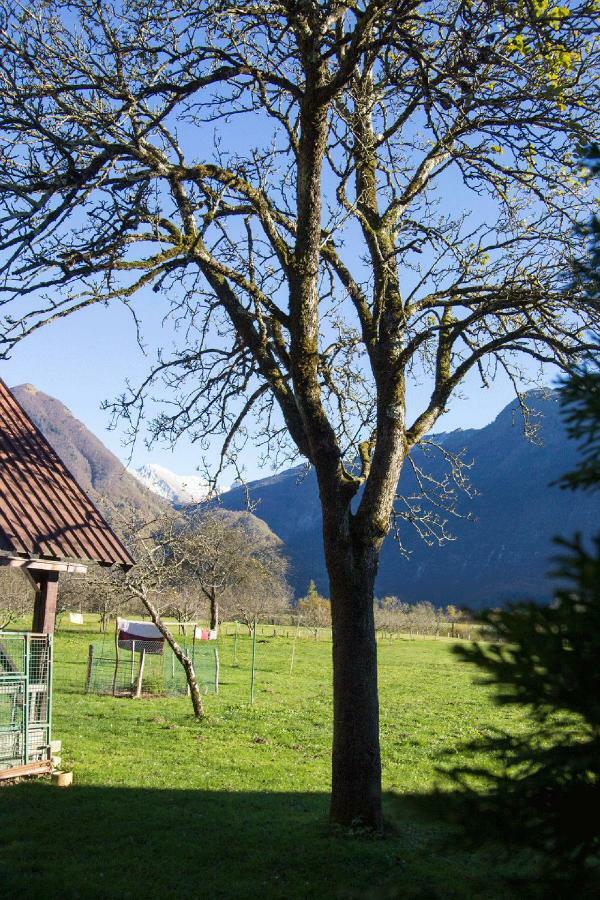 Apartment Mavrica Bovec Kültér fotó